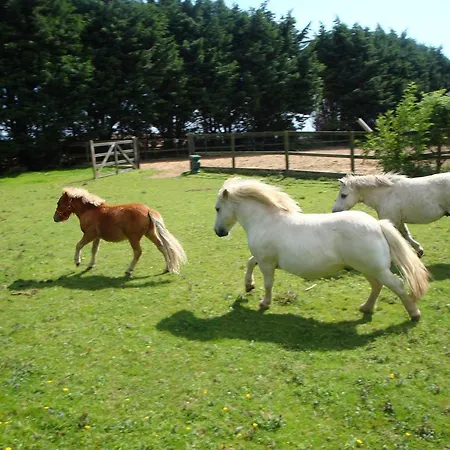 Greenfields Apartamento Wicklow